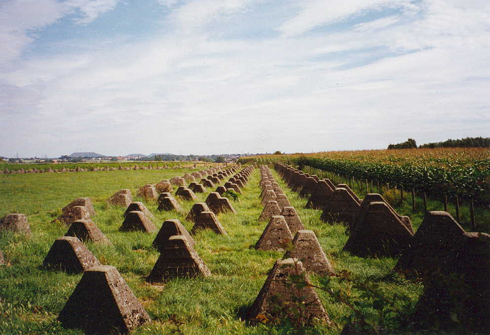 Dragon's teeth anti-tank obstacles in a grassy field